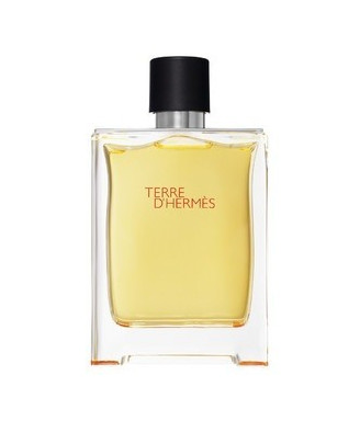 Hermès Terre d'Hermès Eau de parfum spray 200 ml uomo